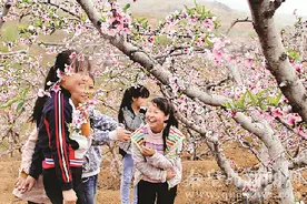 秦皇岛抚宁区第四届桃花艺术节开幕图片