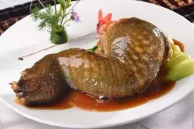 松茸鳄鱼盅图片