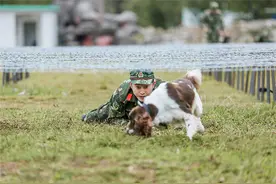 《奇兵神犬》低姿匍匐难度升级 沙溢训练失控图片