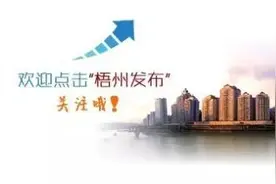 梧柳高速明天上午举行通车现场会！不能到现场？快跟上……图片