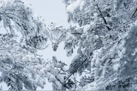 寒冬挡不住暖阳 近期成都周边玩法多图片