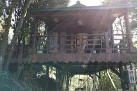 振兴乡村 培育四川乡愁“独角兽” 四川乡村旅游产业带头人赴台学习交流图片