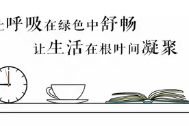 临沂行动｜临沂开展危险废物督察考核图片