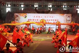 新化第二届梅山武术节开幕 4岁萌娃武术秀嗨翻全场图片
