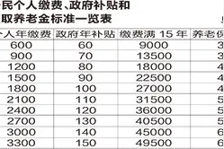 天津市人力社保局有关人士详解城乡居民基本养老保险有关政策图片