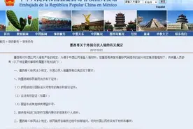 墨西哥关于外国公民入境规定严格 中使馆吁关注图片