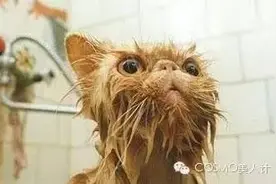 气质这个东西就和爱情一样，人人都在说，谁都没见过（附CO蜜美妆百人群征集令）图片