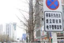 交警讲解交通“冷知识”：违法停车从第一秒开始拍照计时图片