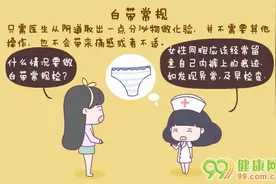 白带常规检查图片