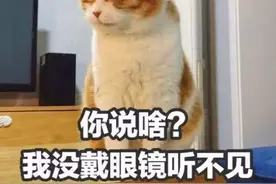 新娘出场、交换戒指、退场时……婚礼上在不同环节适合什么音乐？图片