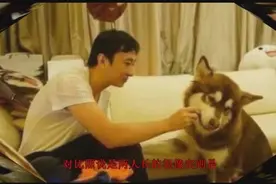 王思聪三次炮轰权志龙，要让其滚回韩国去！视频封面