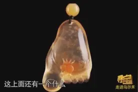 脚丫子上趴着一只蜘蛛，你知道有什么寓意吗？专家告诉你吧视频封面