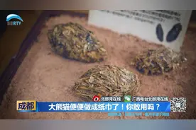 大熊猫便便做成纸巾了！你敢用吗？视频封面