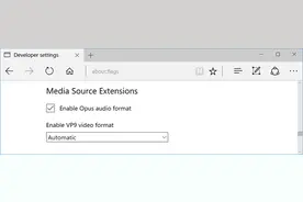 Edge 支持更多媒体格式和编码 WebM、VP9 和 Opus图片