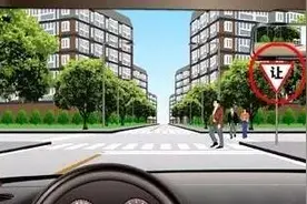 跟我学科目一图片