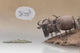 一些迷之笑点的动画短片合集，为什么辣么搞笑，又辣么心酸！图片