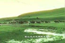 《我和草原有个约定》，感受草原的美图片