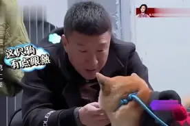 笑翻孙红雷的宠物神级撞脸，这颜值真是越看越像黄渤视频封面