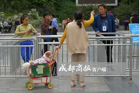 新规“禁止带宠物进公园”市民办到了吗？图片