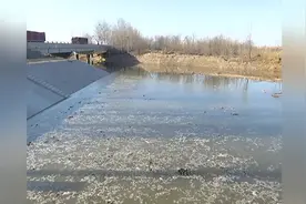 黄河水已进入献县大地，这些事要注意啦！视频封面