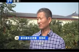 在漳河水库饮用水源2级保护区范围内！存在12家农庄无环评手续！视频封面