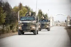 “大毒蛇”装甲步兵机动车 看着彪悍又霸气图片