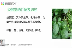 绞股蓝药用价值极高，这样食用可避免中毒视频封面