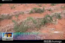 永贺高速通车后，富川这些农村要发达了！视频封面