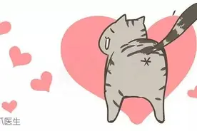 如何成功让猫咪怀孕生崽？老司机教程放送！图片