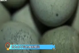 爱吃皮蛋的朋友注意了！这种皮蛋是“毒皮蛋”，不能吃！视频封面