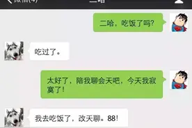 管管你家狗吧，否则和我一个下场！图片