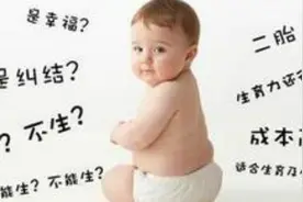 民间小调新片二胎风波视频封面