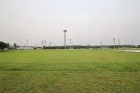 高明老板话一蚊一条鱼益吃货，球迷可以嚟呢度踢球图片