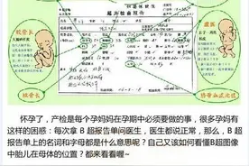 手把手教你看懂B超图片