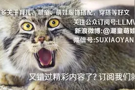 初夏潮童必备的流行单品图片