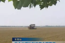 农业三项补贴改革全面推开视频封面