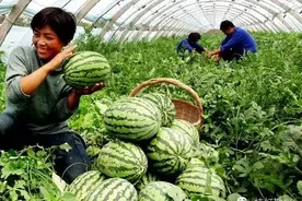 从拍西瓜说到地质勘探图片