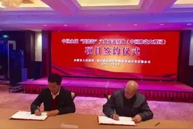 投资50亿，永康将打造以“根雕”为主题的“融入性的影视基地”！图片