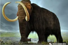 重磅！比金库还宝贵的国家基因库苏州库，落户园区！对全苏州都太重要了！图片
