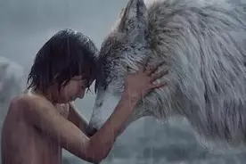 《奇幻森林》:一次寻找自我之旅图片