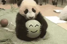 当一只黑喵误入白狗群中....画美不看图片