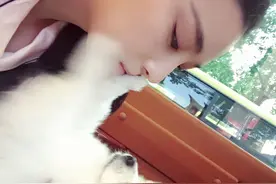 张馨予向宠物求吻遭狗爪阻挡，网友：最傲娇的狗狗莫过如此图片