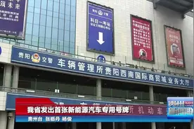 昨日，我省发出首张新能源汽车专用号牌图片
