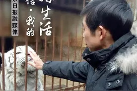狮子老虎见了他竟撒娇求抚摸？！新余这位“铲屎官”养的40多种动物可真不一般！图片