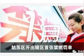 翻看！一个苏州姑娘在2017一年间的日记，有笑有泪……图片