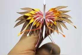 帅小伙折出绝美千纸鹤 连续1000天不重样图片