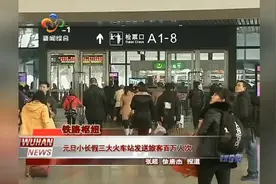 元旦小长假三大火车站发送旅客百万人次视频封面