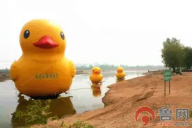 五一莒县沭河湿地公园游览攻略图片
