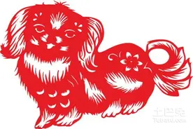 属狗的是哪年出生的？运势如何图片