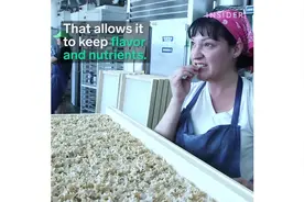 参观意大利面制作工厂 原来意面是这么做的 好可爱视频封面